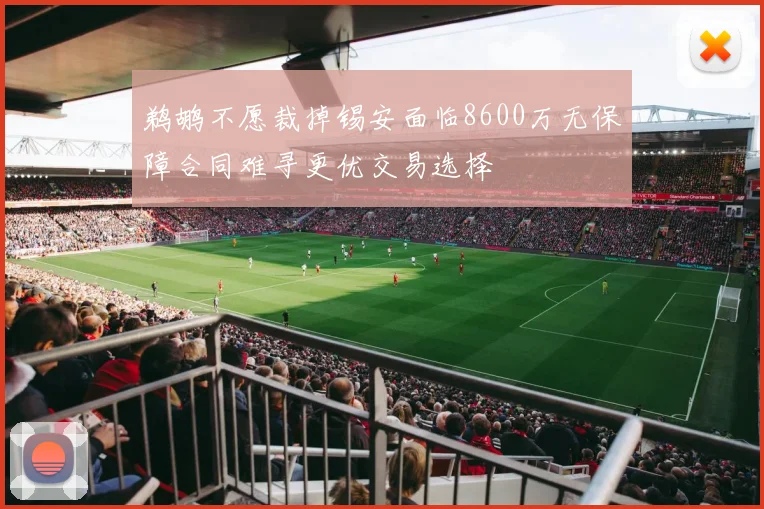鹈鹕不愿裁掉锡安面临8600万无保障合同难寻更优交易选择