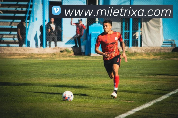 米乐体育APP 封面图