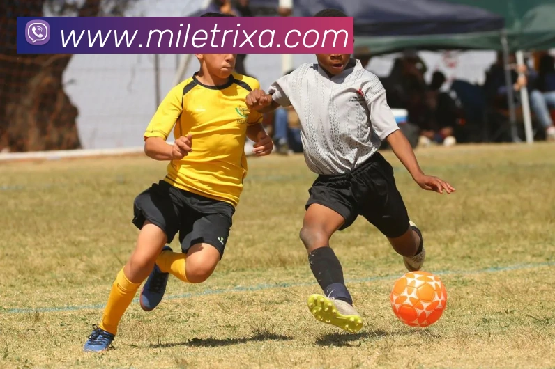 数据防护可视化